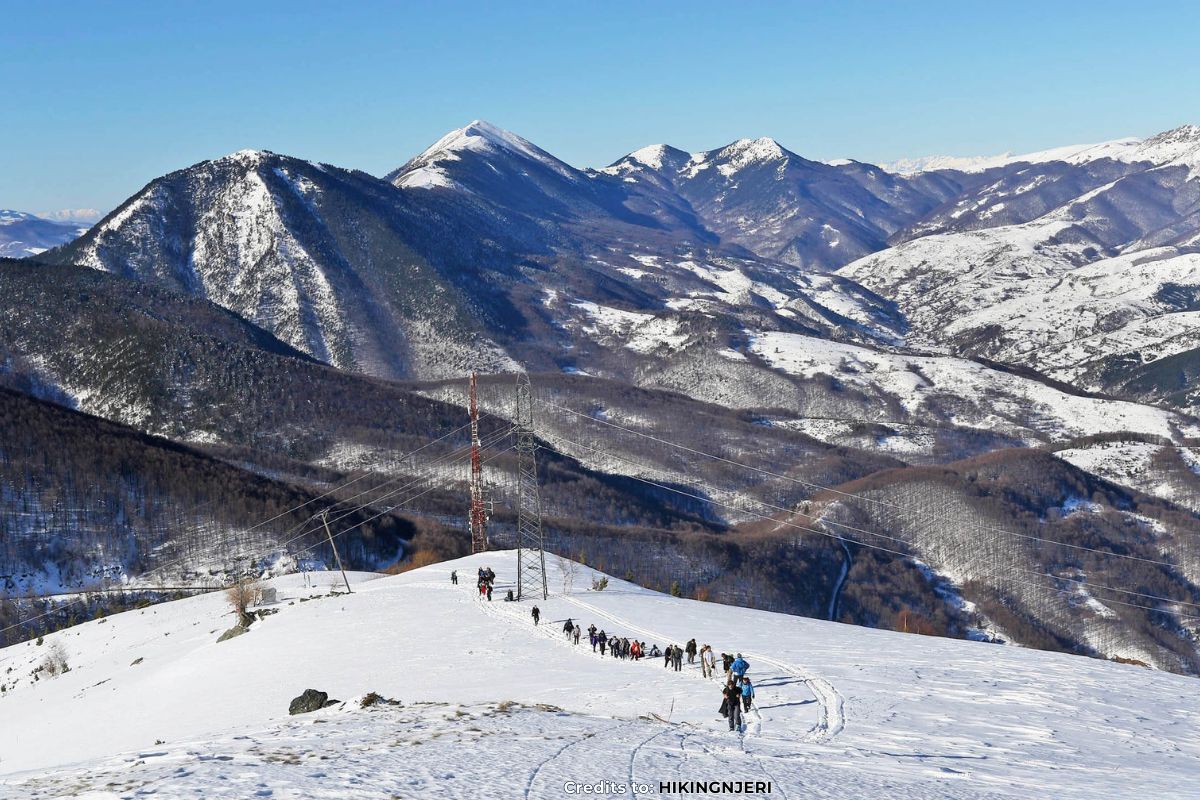 Brezovica